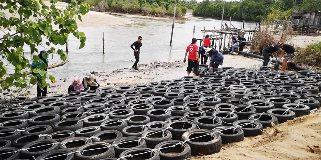 Tyres Fight Erosion Save Turtles